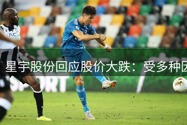 星宇股份回应股价大跌：受多种因素影响，将择机实施回购